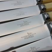 Walker & Hall Faux Bone Handle Steel Palette Dessert Knives Set Vintage Cutlery (#59622) 2