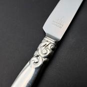Oneida Community South Seas Pattern Cheese Knife - Vintage (#59853) 2