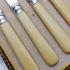 Faux Bone Handled Tea / Butter Knives - Silver Plated - Cased - Vintage (#59669) 3