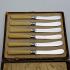 Faux Bone Handled Tea / Butter Knives - Silver Plated - Cased - Vintage (#59669) 5
