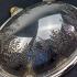 Gorgeous Aesthetic Movement Roll-top Soup Tureen - Silver Plated Antique (#59878) 6