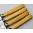 4x Ryals Palette Blade Faux Bone Handle Steel Dinner Knives Vintage Cutlery (#100228) 3
