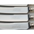Chippendale Pattern Set Of 6 Dessert Knives Cooper Bros Silver Plated Handles (#100442) 3