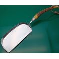 Stag Horn Antler Handled Table Crumb Tray Silver Plated With Hanger (#61478) 4