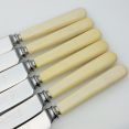 Set Of 6 Vintage Faux Bone Handle Dinner Knives Sanders Sheffield Steel Cutlery (#99529) 2