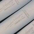Set Of 6 Vintage Faux Bone Handle Dinner Knives Sanders Sheffield Steel Cutlery (#99529) 3