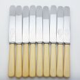 Faux Bone Handled Set Of 9 Palette Dinner Knives Vintage Steel (#99901) 2