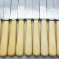 Faux Bone Handled Set Of 9 Palette Dinner Knives Vintage Steel (#99901) 4