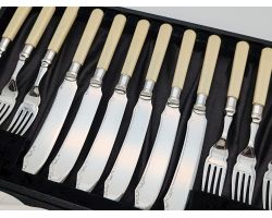 Cased Faux Bone Handled Fish Cutlery Set Silver Plated Epns Vintage (#100000)