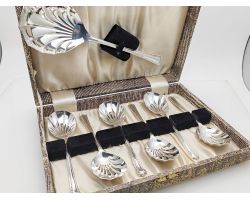 Cased Pudding Spoons & Server Set - Epns Silver Plated - Vintage (#100118)