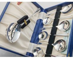 Grecian Pattern Cased Pudding Spoons & Server Set - Epns Silver Plated - Vintage (#100119)