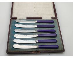 Vintage Purple Plastic Handled Tea Knives Cased Stainless Nickel Plated (#100286)