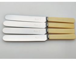 Block Faux Bone Handled Palette Shape Dinner Knives Taylor Eye Witness Sheffield (#100478)