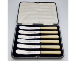 Fine Faux Bone Handled Tea Knives Cased Wardonia Sheffield Steel Cutlery Vintage (#99645)