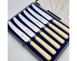 Faux Bone Handled Cased Set 6 Tea Knives Stainless Steel Vintage Cutlery Turton (#99744)