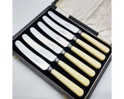 Vintage Cased Set Of 6 Tea Knives Faux Bone Handled Steel Cutlery Sheffield (#99765)