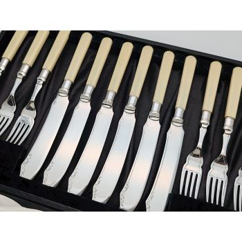 Cased Faux Bone Handled Fish Cutlery Set Silver Plated Epns Vintage (#100000) 1