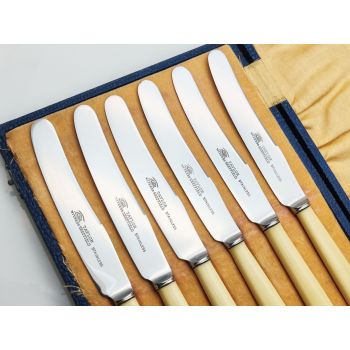 Vintage Set Of 6 Tea Knives Faux Bone Handle Cased Taylor Eye Witness Sheffield (#100102) 1