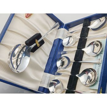 Grecian Pattern Cased Pudding Spoons & Server Set - Epns Silver Plated - Vintage (#100119) 1