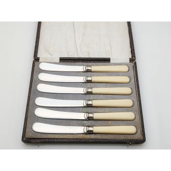 Cased Silver Plated Tea Knives Faux Bone Handle Vintage Epns (#100190) 1