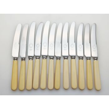 12x Faux Bone Handled Tea Knives Stainless Steel Vintage Cutlery (#100502) 1