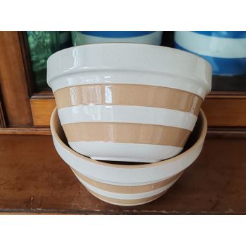 Cornishware Gold 2x Pudding Basin / Bowl - Mason Cash C. 2004 (#48950) 1