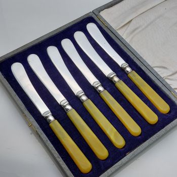 Vintage Cased Tea Butter Knives Silver Plated Amber Color Handles (#99642) 1