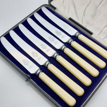 Faux Bone Handled Cased Set 6 Tea Knives Stainless Steel Vintage Cutlery Turton (#99744) 1
