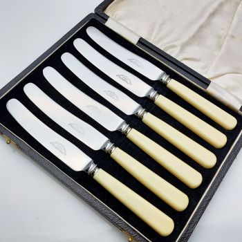 Vintage Cased Set Of 6 Tea Knives Faux Bone Handled Steel Cutlery Sheffield (#99765) 1