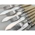 Cased Faux Bone Handled Fish Cutlery Set Silver Plated Epns Vintage (#100000) 3