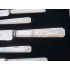 Superb Mother Of Pearl Handled Tea & Cake Knife Set Hutton C. 1925 Stainless (#100387) 2