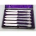 Antique Cased Albany Pattern Dessert Knives - Silver Plated W&h 1913 (#100462) 3