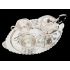 Silver Plated 41.5cm Wavy Rim Tea / Drinks Serving Tray - Vintage (#100548) 2