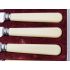 Faux Bone Handled Tea Knives Cased Set Lewis Rose Stainless Steel Vintage (#100557) 2