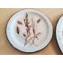 Midwinter Stonehenge Wild Oats 26.9cm Dinner & 20.3cm Tea Plates - Vintage (#100679) 3
