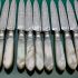 Mother Of Pearl Handled 22 Piece Silver Plated Fruit Dessert Cutlery Set Antique (#61775) 5