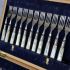 Mother Of Pearl Handled 22 Piece Silver Plated Fruit Dessert Cutlery Set Antique (#61775) 8