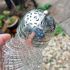 Beautiful Pear Shape Hobnail Cut Glass Silver Plated Sugar Castor Victorian (#61780) 6