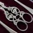 Beautiful Victorian Grape Scissors & Spoons Cased Set Silver Plated (#61855) 2