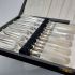 Cased Mother Of Pearl Handled Fish Cutlery Set Silver Plated Epns (#61856) 11