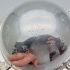 Roll-top Butter / Caviar Dish - Silver Plated - Vintage (#61894) 5
