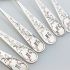 Cased Czech 750 Standard Silver Teaspoons - Antique (#99503) 3