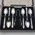 Angora Orange Blossom Pattern Spoons & Tongs Silver Plated Epns Cased Set (#99586) 5