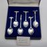 Falklands War Victory Cased Souvenir Spoons #2 Silver Plated 1982 (#99641) 2