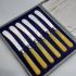 Vintage Cased Tea Butter Knives Silver Plated Amber Color Handles (#99642) 5
