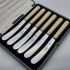 Fine Faux Bone Handled Tea Knives Cased Wardonia Sheffield Steel Cutlery Vintage (#99645) 5