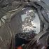 Stunning Silver Plated Full Size Claret Jug - Dragon Crested - Antique (#99698) 4