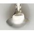 Antique Sterling Silver Washington Library Of Congress Spoon Moore & Leding (#99987) 3