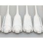 Fiddle Thread Shell Pattern 8x Dinner Forks Epns Silver Plated Arthur Price (#100347) 2