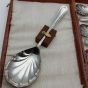 Vintage Cased Nickel Plate Pudding / Fruit Spoons Set (#58555) 3